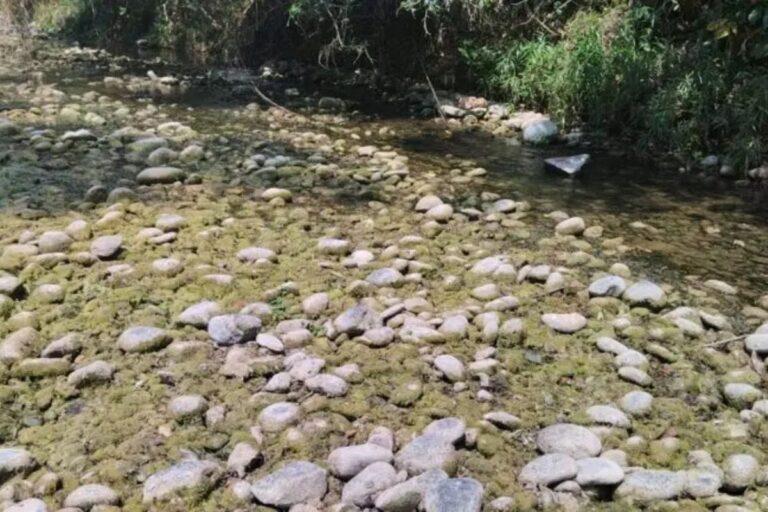 Imagen: Reportan sequía 19 municipios de Hidalgo