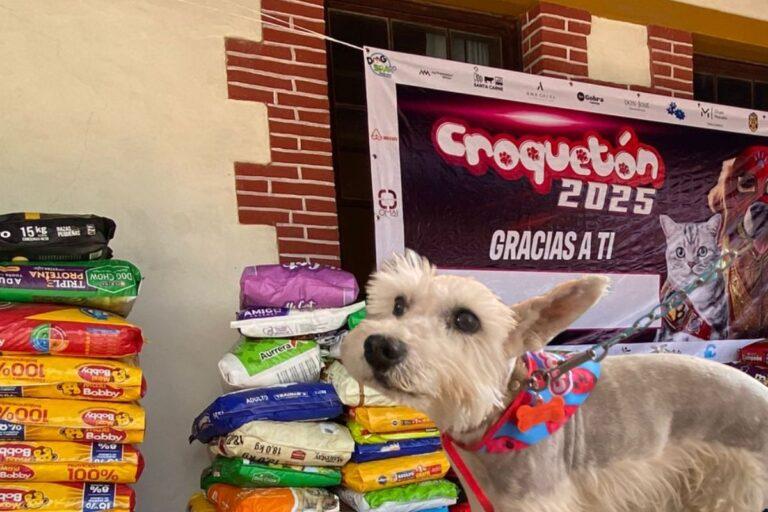 Imagen: Croquetón 2025: 11 toneladas de solidaridad por los lomitos en Pachuca