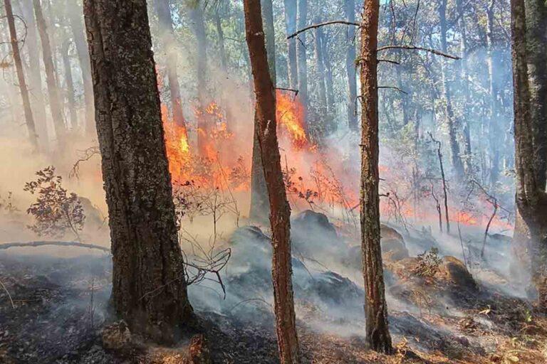 Imagen: Pide PC de Tlanchinol prevenir los incendios forestales 