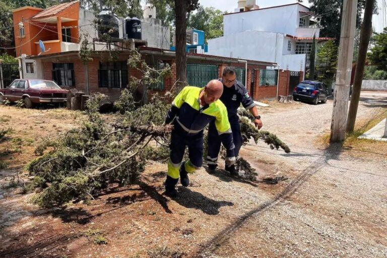 Imagen: Autoridades de Tepeji del Río reportan afectaciones materiales tras lluvias y granizo