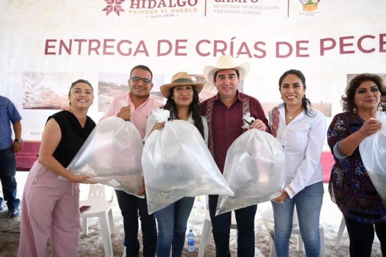 Imagen: Entregan alevines para siembra en presa de Ixmiquilpan