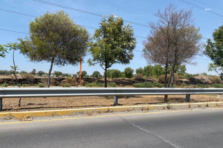 Imagen: Incendios en Tizayuca generan alerta entre la población