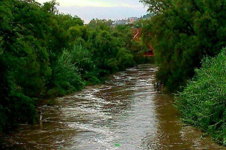 Imagen: Tula de Allende: No se ha determinado el número de árboles a talar en el río