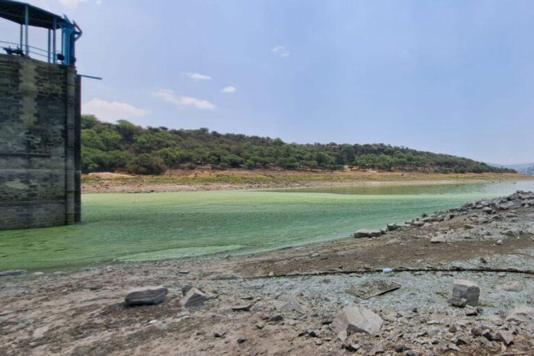Imagen: Preocupa a pescadores de Tepeji disminución en el nivel de agua de la Requena