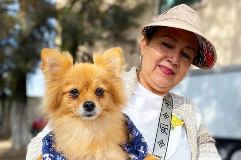 Imagen: Tlahuelilpan impulsa la protección animal con su octava jornada de esterilización