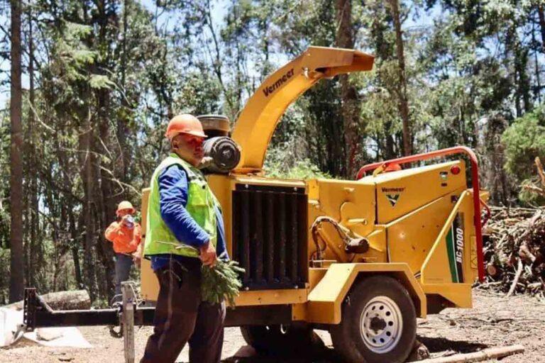 Imagen: En el parque nacional El Chico, saneamiento va al 70 por ciento: Coesbio