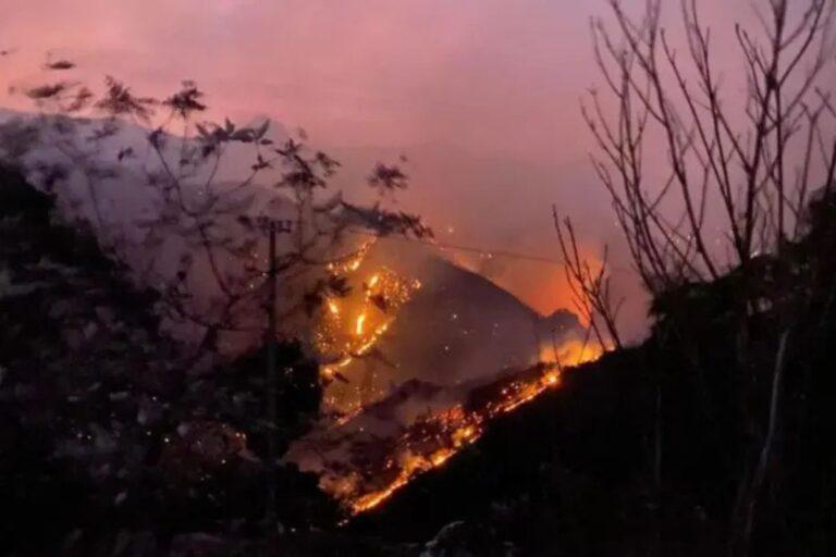 Imagen: ¿Cuántos incendios forestales acumula Hidalgo en el primer semestre de 2025?