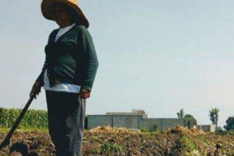 Imagen: Campesinos de Tula, inconformes por corte de agua de riego durante seis meses
