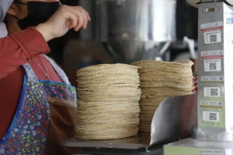 Imagen: En Pachuca, precio del kilo de tortilla se mantiene en $23.50
