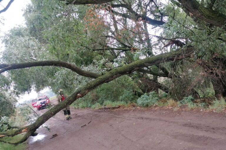 Imagen: PC Tulancingo pide extremar precauciones ante temporada de lluvias; esto se hizo