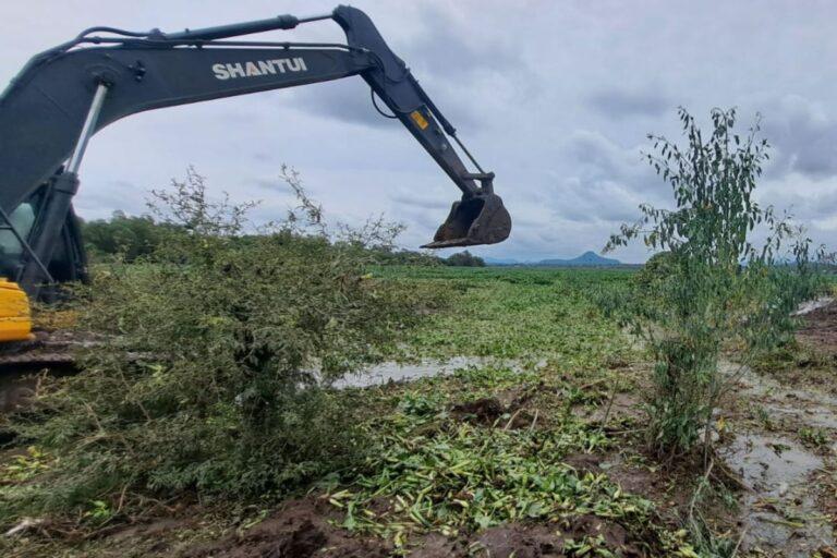 Imagen: Retiro del lirio en la presa Endhó no presenta avances