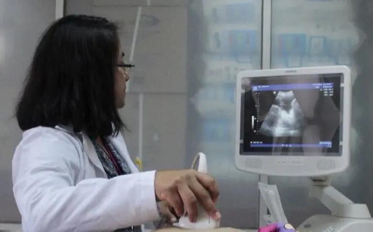 Imagen: Persisten retos en los acompañamientos en abortos: Di Ramona
