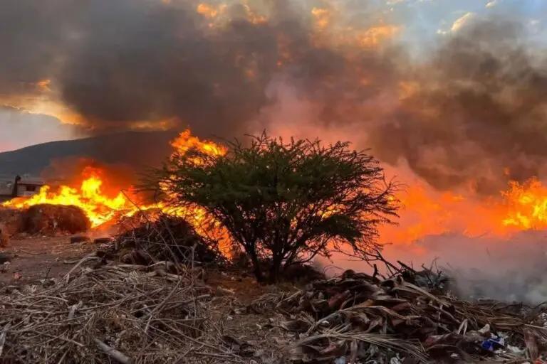 Imagen: ¿En qué lugar está Hidalgo a nivel nacional por incendios forestales?