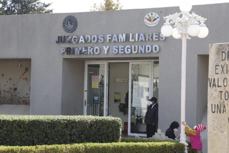 Imagen: Acusan violencia institucional hacia víctima de violencia vicaria