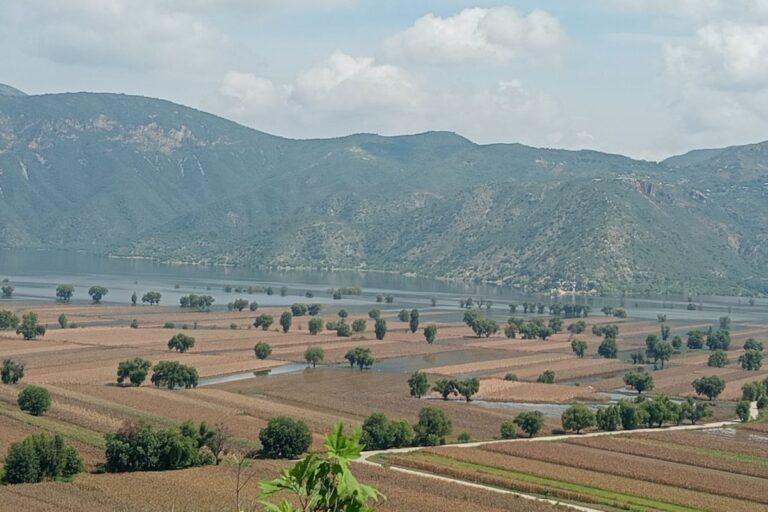 Imagen: Metztitlán: Cultivos de ejido San Cristóbal resultaron afectados por inundación de la laguna