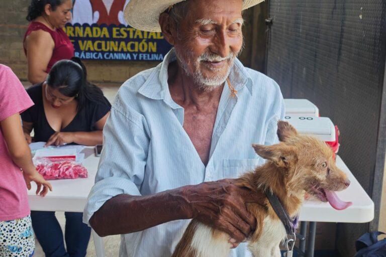 Imagen: En Huejutla, implementan campaña de vacunación antirrábica