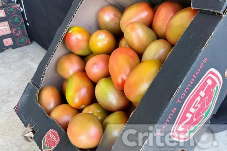 Imagen: Afectan los aranceles a productores de jitomate