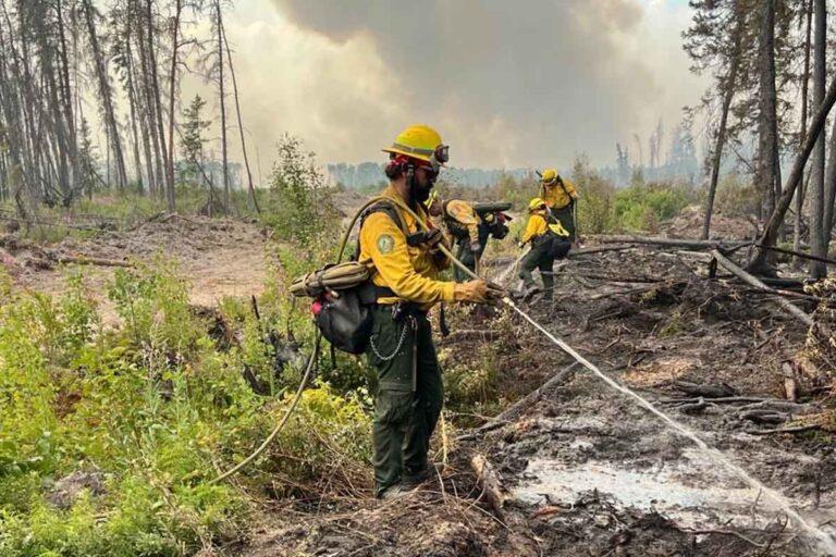 Imagen: Ecocidio en Hidalgo: proponen sanciones severas por daños ambientales graves