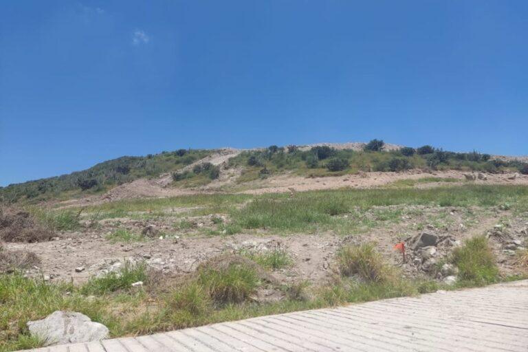 Imagen: ¿Ecocidio en Ixmiquilpan? Esto dijo el comisariado ejidal de El Maye