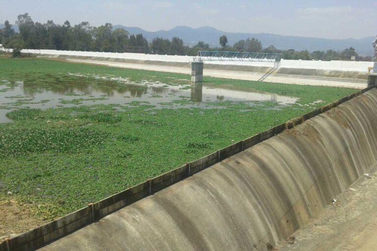 Imagen: Esta situación en la presa La Esperanza, de Tulancingo, preocupa a usuarios de riego