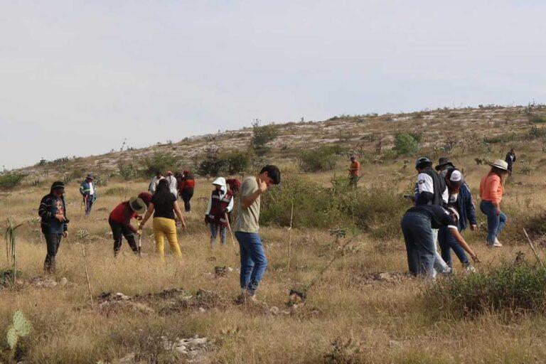 Imagen: Atotonilco de Tula: ¿Cómo se convertirá este cerro de donde se extraía piedra caliza en zona de amortiguamiento ecológico?