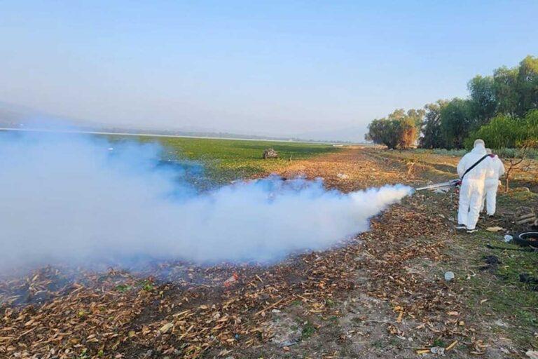 Imagen: ¿Cuándo será retomada la fumigación del mosco culex en la presa Endhó, en Tula?