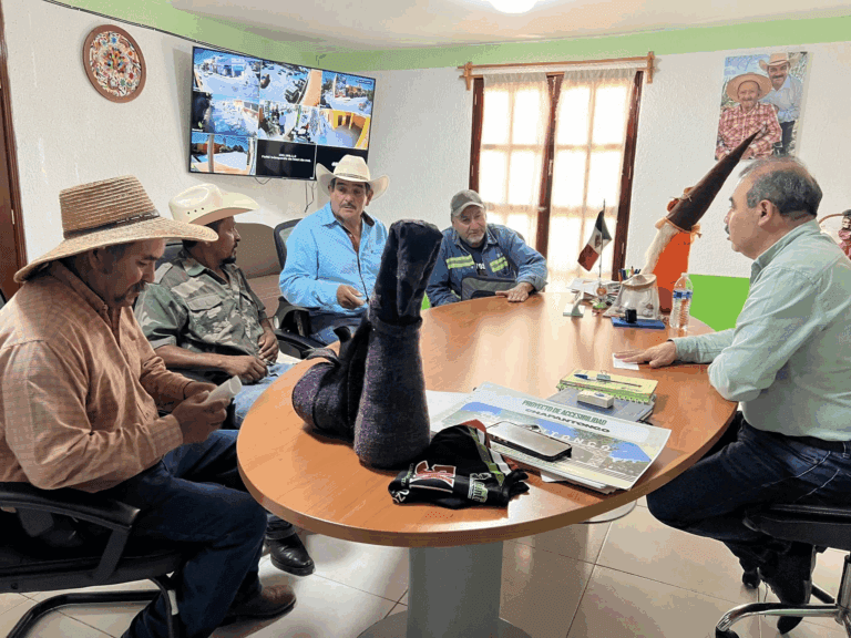 Imagen: Chapantongo impulsa la ganadería con apoyos a ejidatarios de Toxthe