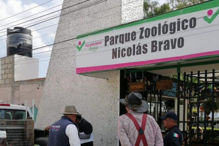 Imagen: Zoológico de Tulancingo: ¿Cuántos animales alberga el parque recreativo?