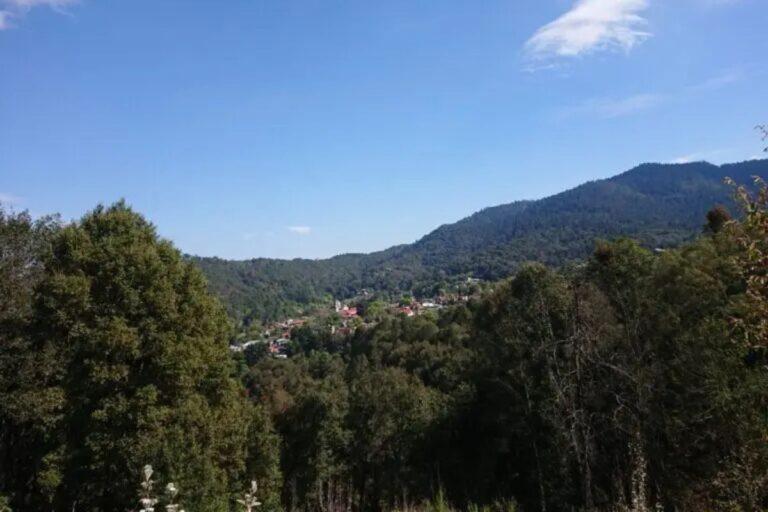 Imagen: Parque Nacional El Chico: ¿Cuál es el avance del saneamiento del bosque?