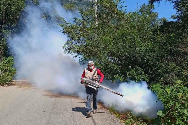 Imagen: Concentró Huehuetla los casos de dengue de la Jurisdicción Sanitaria 2, ¿cuántos contagios tuvo?