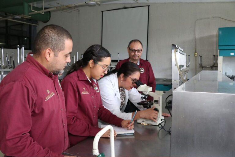 Imagen: Docentes de la UTHH presentaron un libro