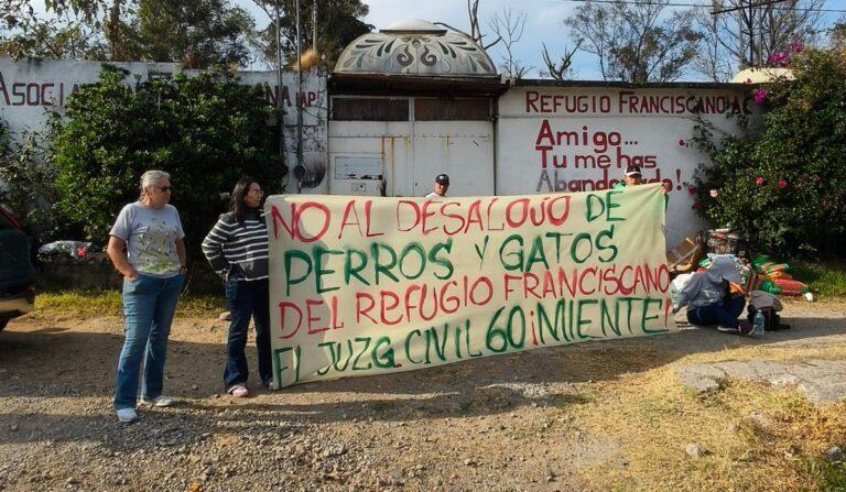 Imagen: Piden regular y supervisar refugios de animales