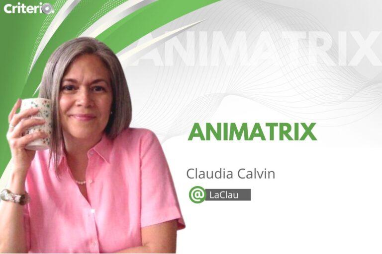 Imagen: La culpa no era nuestra: violencia académica y estructuras que legitiman