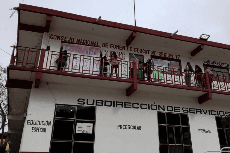 Imagen: Trabajadores del Conafe en la Sierra hidalguense se unen a la protesta nacional