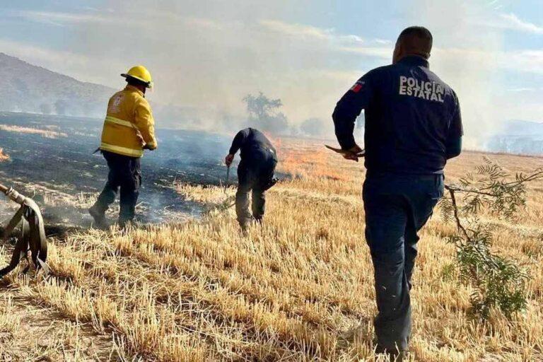Imagen: Esta región de Hidalgo concentró el mayor número de incendios forestales durante 2025