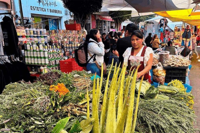 Imagen: Actopan: Comerciantes piden reforzar la seguridad en el tianguis de los miércoles ante esta situación