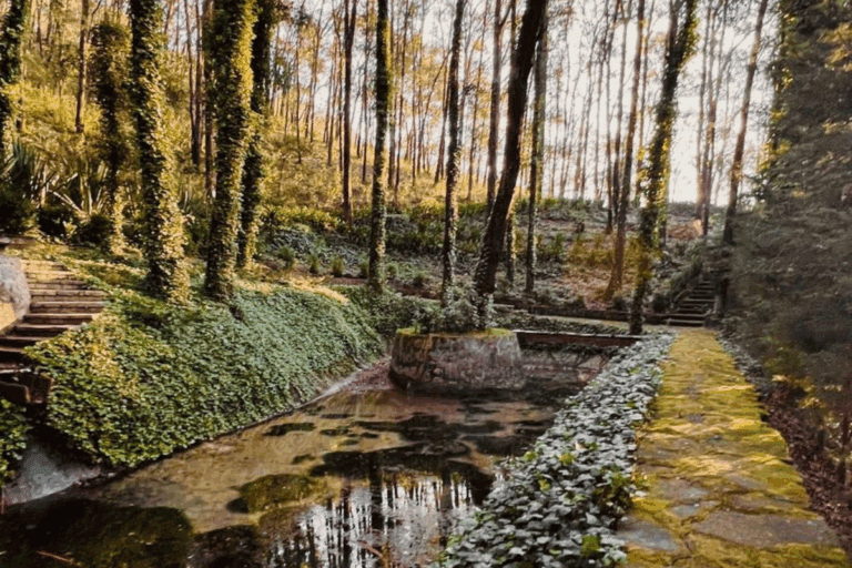 Imagen: Filosofía de la quietud: Un retiro para rehabitar nuestra presencia en el mundo