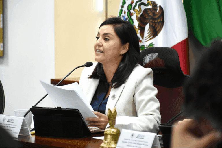 Imagen: Que mujeres sean postuladas en 50% de municipios de Hidalgo, la propuesta de la diputada Citlali Delgado
