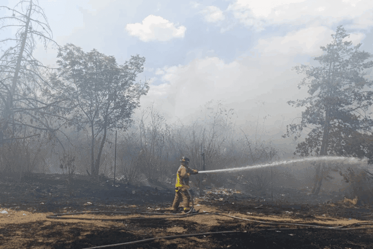 Imagen: Huasca de Ocampo enfrenta cuatro incendios en un solo día