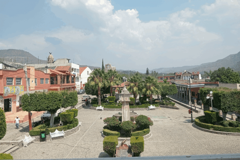 Imagen: Transmisión de las sesiones de Cabildo de Metzquititlán, sin acceso público