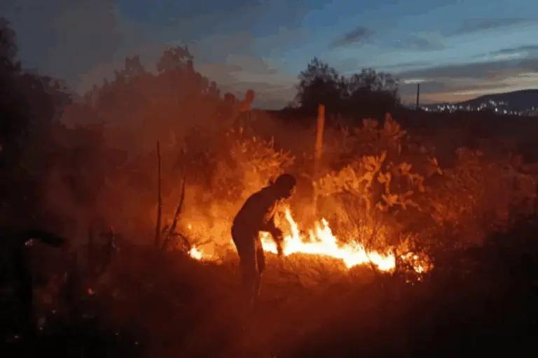 Imagen: Semarnath declara alerta extrema por riesgo de incendios en Hidalgo