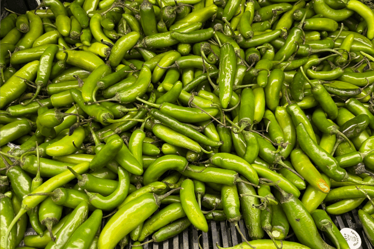Imagen: Pachuca: Sube el precio del chile serrano. ¿Cuánto cuesta esta semana?