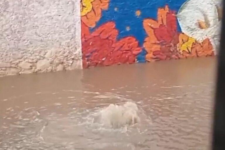 Imagen: Reportan vecinos de San Agustín Metzquititlán drenaje en mal estado