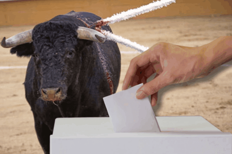 Imagen: Consulta ciudadana sobre corridas de toros aún no tiene presupuesto definido: IEEH