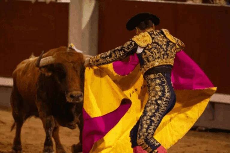 Imagen: Tauromaquia Mexicana emite postura ante la cancelación de dos corridas de toros en Pachuca