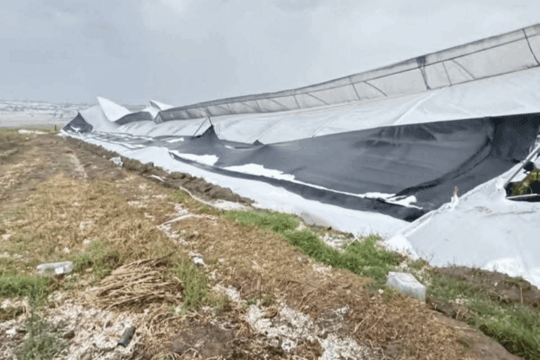 Imagen: Las lluvias provocaron afectaciones en Metepec, informó alcalde