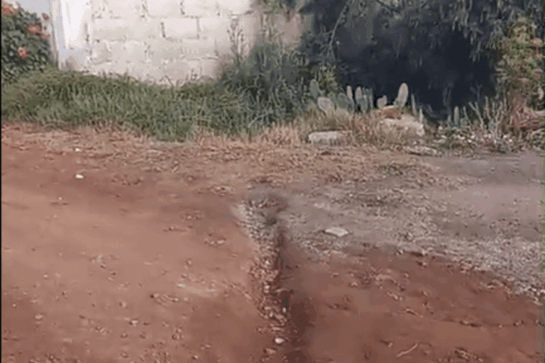 Imagen: Tulancingo: Vecinos acusan que pobladora hace una zanja en la calle y las autoridades no intervienen