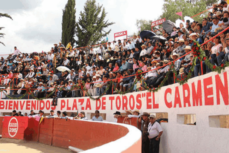 Imagen: Comunidad de San Salvador celebrará su fiesta patronal con corridas de toros