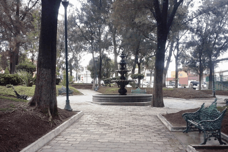 Imagen: Parques de Pachuca serán reforestados por la Semarnath