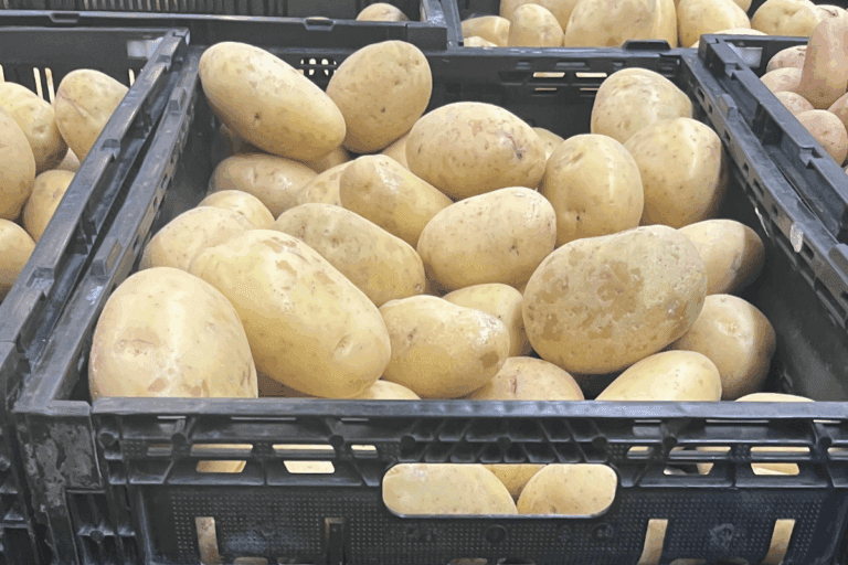 Imagen: Precio de la papa en Pachuca ha aumentado 133.3% en el primer semestre de 2026
